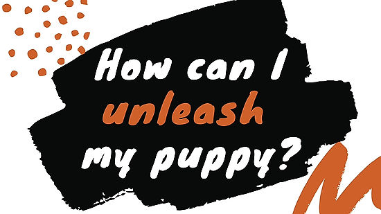 Puppies Unleashed